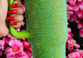 Grourde en thermos , en plastique